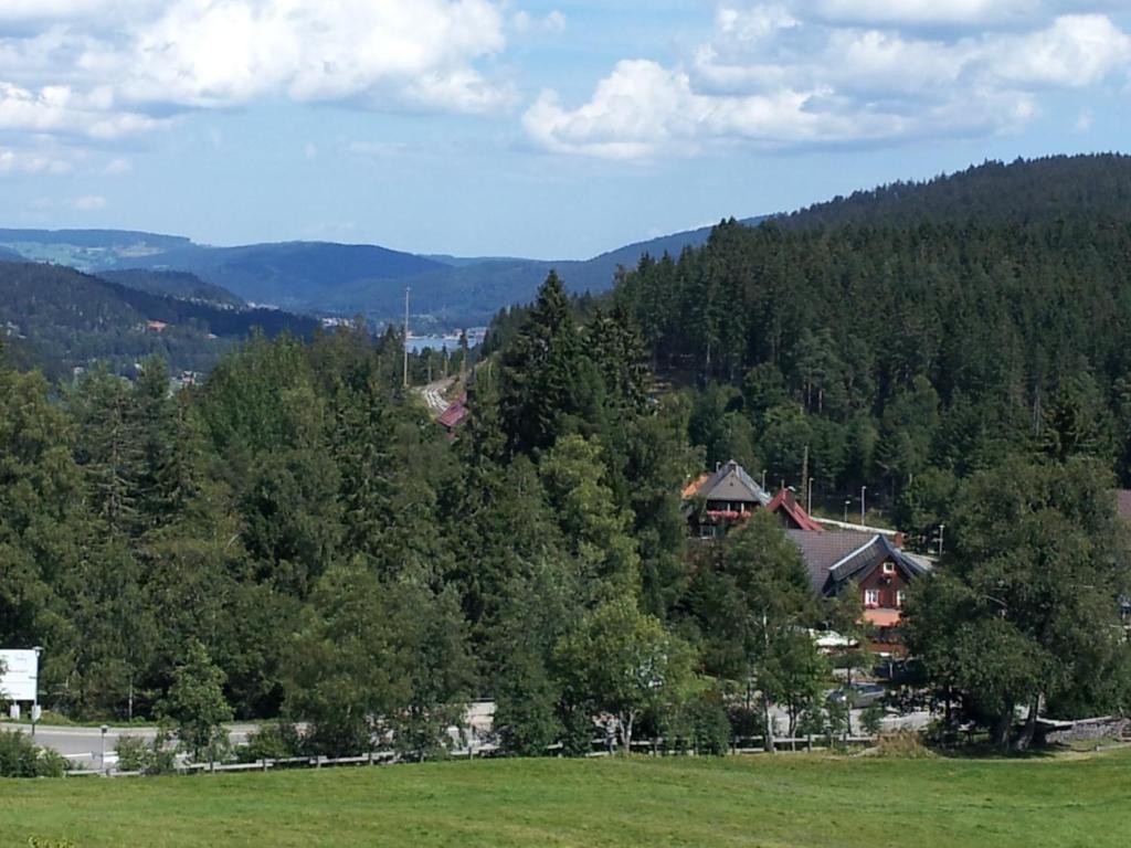 Schwarzwald-Chalet Feldberg Apartment Feldberg  Exterior photo